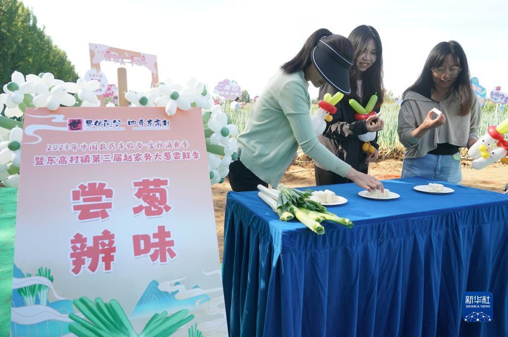 388棋牌个人登录中心